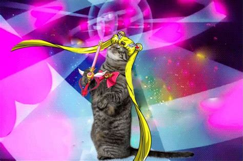 Pin By Alison Rushing On Kitties Sailor Moon Party Sailor Moon