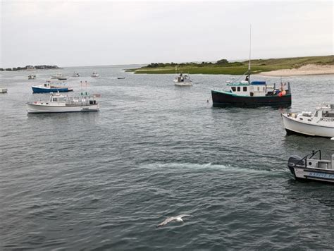 cape  massachusetts active travel experiences