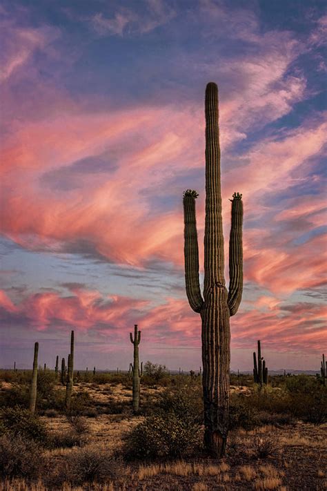 Beautiful Pastel Desert Skies Photograph By Saija Lehtonen Fine Art