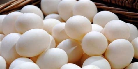 Egg Prices Soar Resolution Submitted In Punjab Assembly