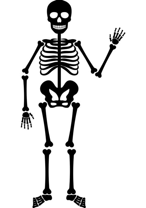 Halloween Skeleton Clipart ClipartWorld