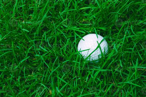 Green Grass With Golf Ball Close Up In Soft Focus At Sunlight Sport