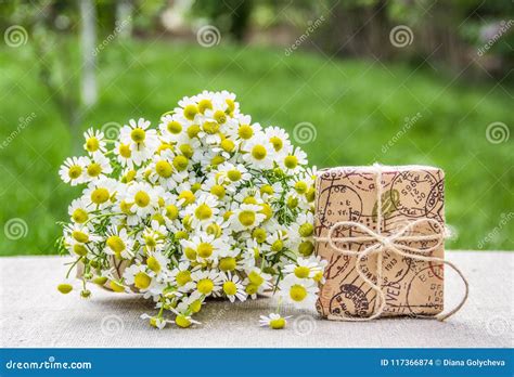 Bouquet Of Chamomiles And A T Box T In Eco Style Useful Herbs