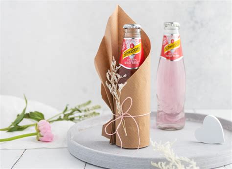 DIY Anleitungen Schweppes Deutschland