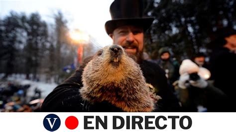 DIRECTO La marmota Phil predice cuánto durará el invierno YouTube