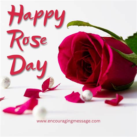 100 Happy Rose Day Quotes On Rose Day 2024