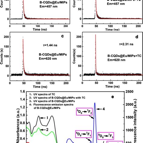 Fluorescence Lifetime Spectra Of B Cqds Eu Mips A D And Uv Absorption Download Scientific