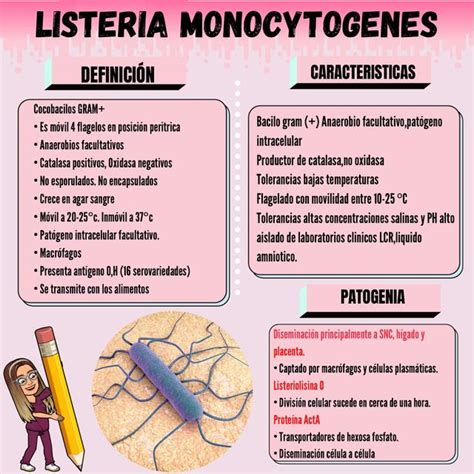 Listeria Monocytogenes Andrea Marin Perata Udocz