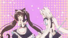 Nekopara Coconut GIF - Nekopara Coconut Anime - Discover & Share GIFs