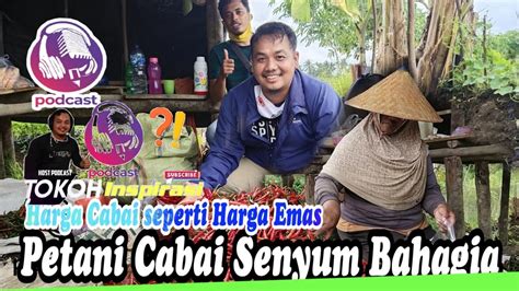 Senyum Bahagia Petani Cabe 100 Kilo Per 2Hari Cabai MAHAL Podcast