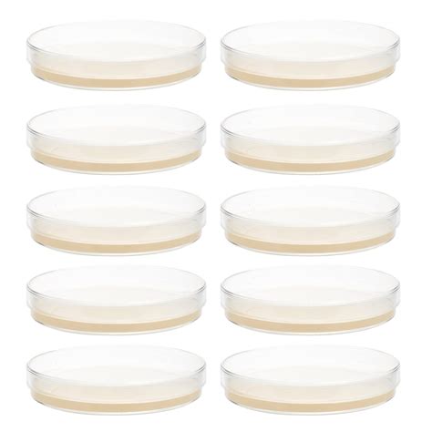 Buy VILLCASE Agar 10PCS Ent Agar Plate 9cm Laboratory Agar Plates Pre