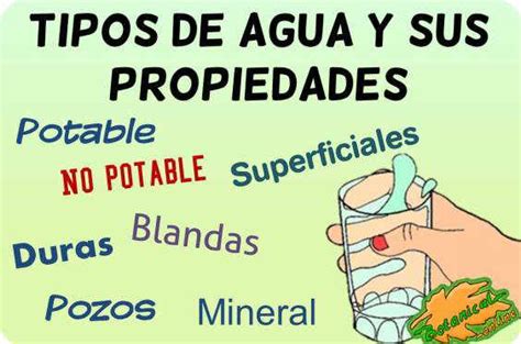 Clases De Agua Botanical Online