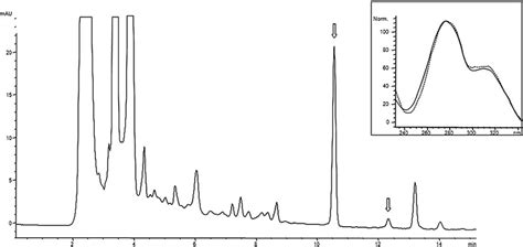 Hplc Pda Chromatogram Of A Cinnamon Biscuit Extract Containing