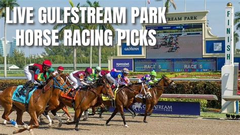 Live Gulfstream Park Horse Racing Picks - Total Horse Channel | Equestrian TV