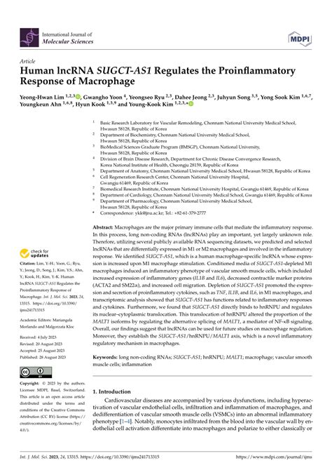 PDF Human LncRNA SUGCT AS1 Regulates The Proinflammatory Response Of