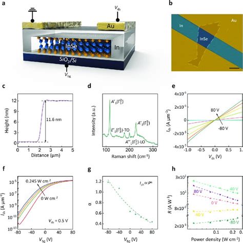 Pdf Carrier Capture Assisted Optoelectronics Based On Van Der Waals