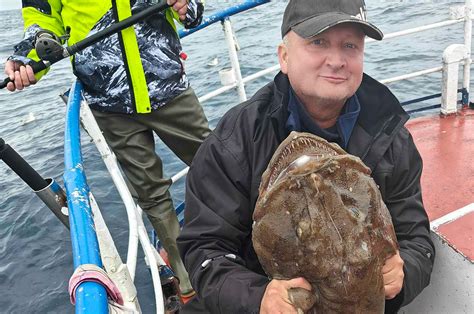 Havtaske Storsej Og Flotte Torsk Fra Det Gule Rev Fisk Fri