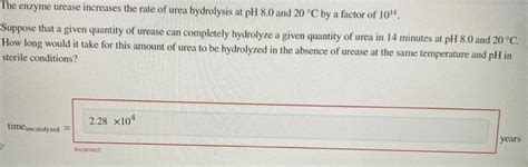 Solved The Enzyme Urease Increases The Rate Of Urea Chegg