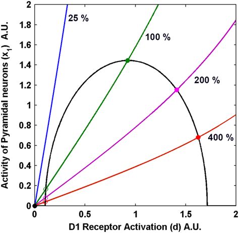 Nullcline Plots Of The Pyramidal Neurons Activity X1 Versus D1 Download Scientific Diagram