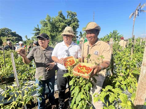 Pj Bupati Lihadnyana Ajak Pj Gubernur Bali Panen Cabai Bersama Bali