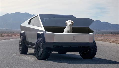 Photo Tesla Cyberdog In Cybertruck Front Trunk