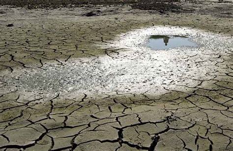 Cambio Climático Estas Son Las 153 Acciones Peruanas De Adaptación Y