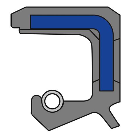 Sealmotion Radialwellendichtring As Schutzlippe X X Mm Fkm