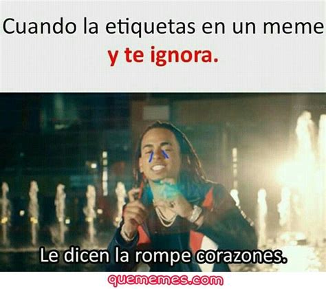 Pin De Quememes En Memes Memes El Humor Y Cuando Te Ignoran