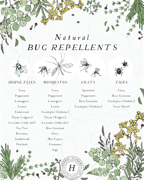 Crafting A Natural Bug Repellent With Essential Oils Herbal Academy