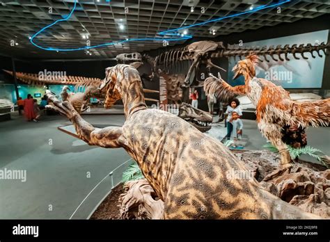 Juli M Nster Natural History Museum Deutschland Familie Mit