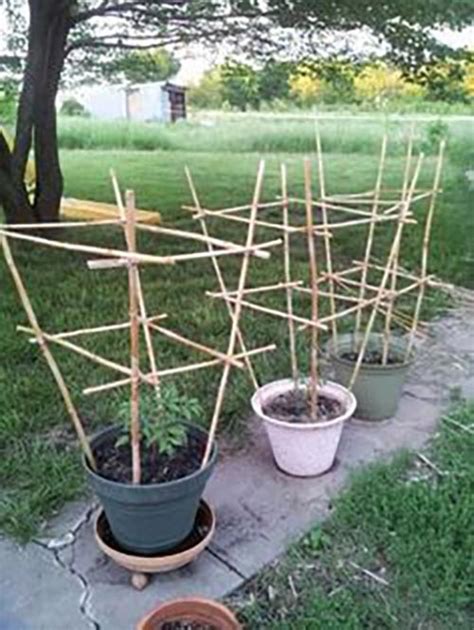 Successful Diy Trellis Ideas For Vegetables And Fruits