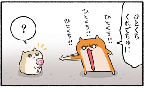 「クソハム、パンケーキ職人 生きぬけ爆走クソハムちゃん 8話 」noricopo🐹クソハムちゃんの漫画