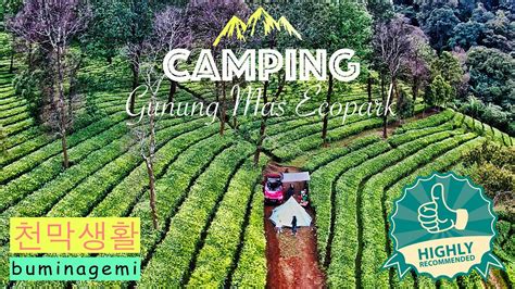 Pinus Ecopark Puncak Gunung Mas Bogor Camping Keluarga WAJIB Coba