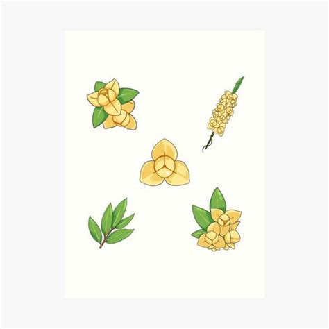 Khmer Rumdul Flower Art Print By Rothanavatar