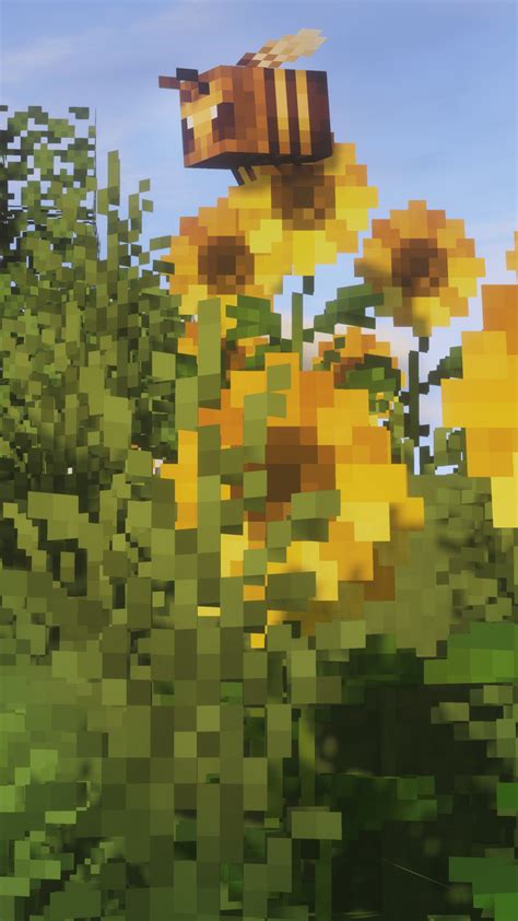 Minecraft Bee Wallpapers Top Free Minecraft Bee Backgrounds Wallpaperaccess