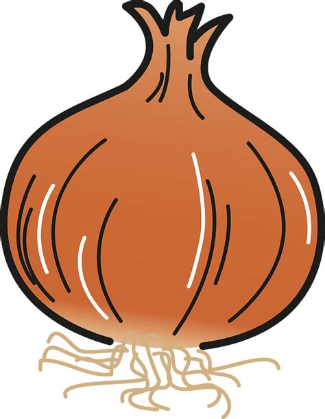 Onion Clipart Transparent Free Clipartlib