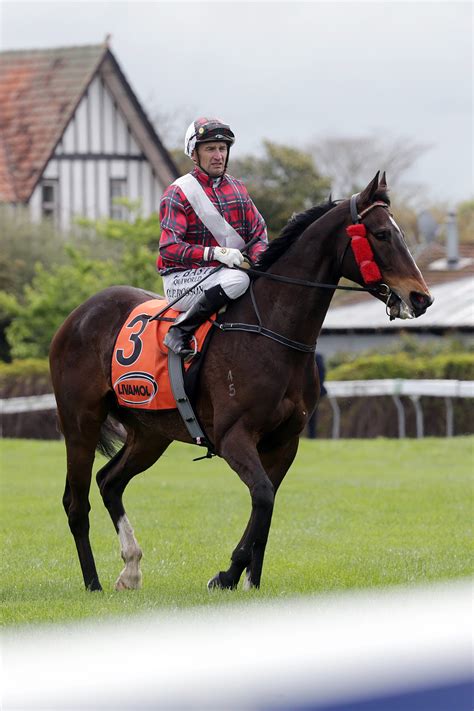 Times Ticking claims incident packed Hastings sprint | NZ Racing News