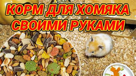 Корм для хомяка своими руками - как сделать? Мешанина для джунгариков и ...