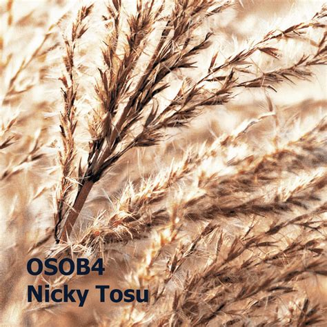 Nicky Tosu OSOB 4