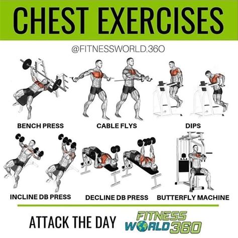 Chest Exercises For Men Chart