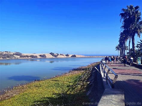 Lagune La Charca De Maspalomas