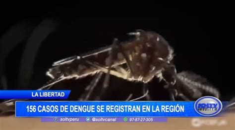 La Libertad 156 casos de dengue se registran en la región SOLTV PERU