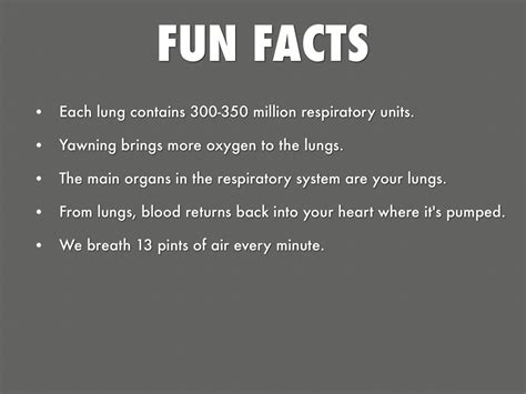 Facts About The Respiratory System Fun Facts Fun Guest