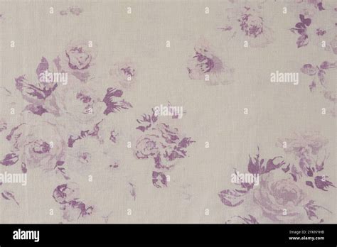 Purple Beige Hi Res Stock Photography And Images Alamy