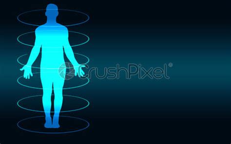 Human Body Medical Scan On A Blue Background Stock Photo 2214789