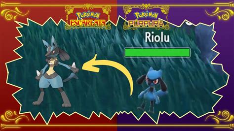 CÓMO CONSEGUIR ENCONTRAR A RIOLU EN POKEMON ESCARLATA Y PÚRPURA