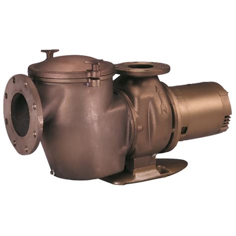 Pentair C Series Bronze Self Priming Pump Chk 100 10 Hp 3 Phase