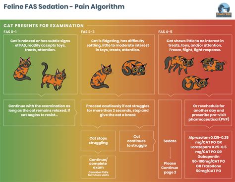 Cat Pain Scale Chart Aaha In Home Pain Assessment For Cats In