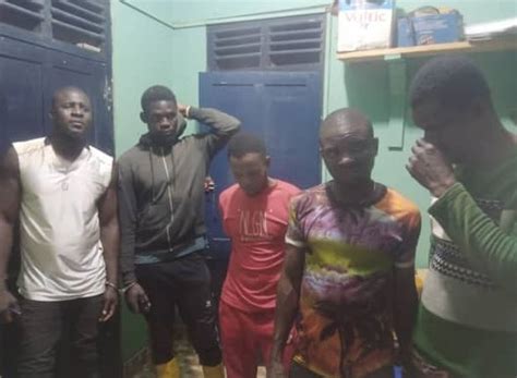 9 Illegal Miners Arrested Dailyguide Network