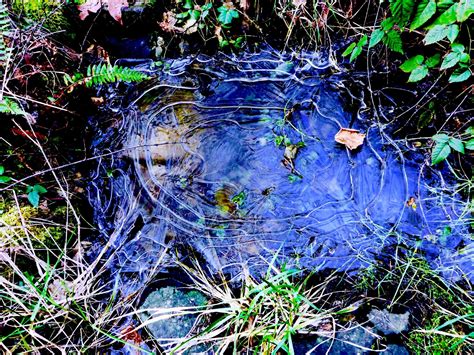 molalla oregon house for sale 1